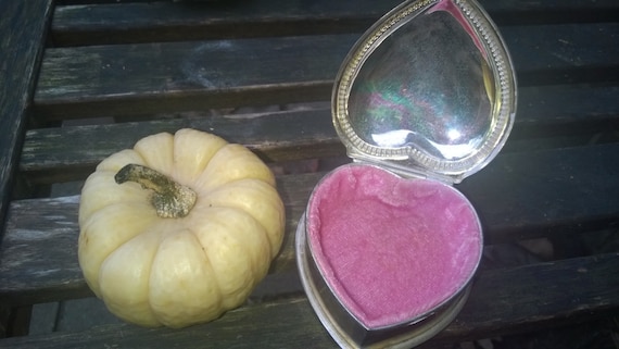 Silver jewelry box pink velvet lining