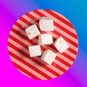 Classic Vanilla Bean Marshmallows 1 dozen Gourmet marshmallows image 10