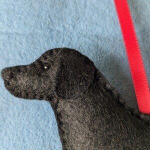 May include: Close-up of a black felt dog ornament with a red ribbon. The dog's head is turned to the side, and one eye is visible.