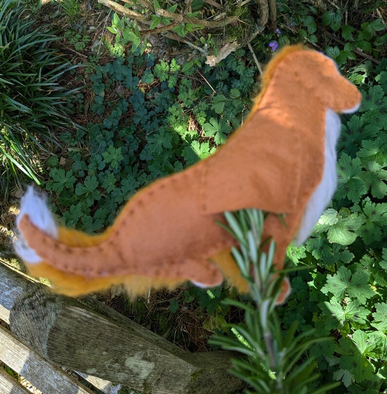 May include: A brown and white felt dog toy with a fluffy tail, sitting on a green plant.
