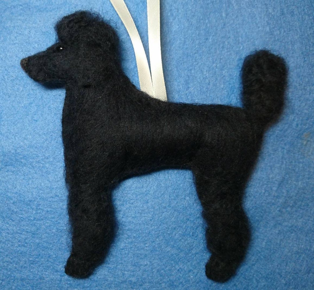 Preloved norfolk cheap terrier