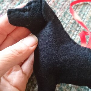 May include: Black felt dog toy with a red ribbon attached. The dog is standing on a patterned surface.