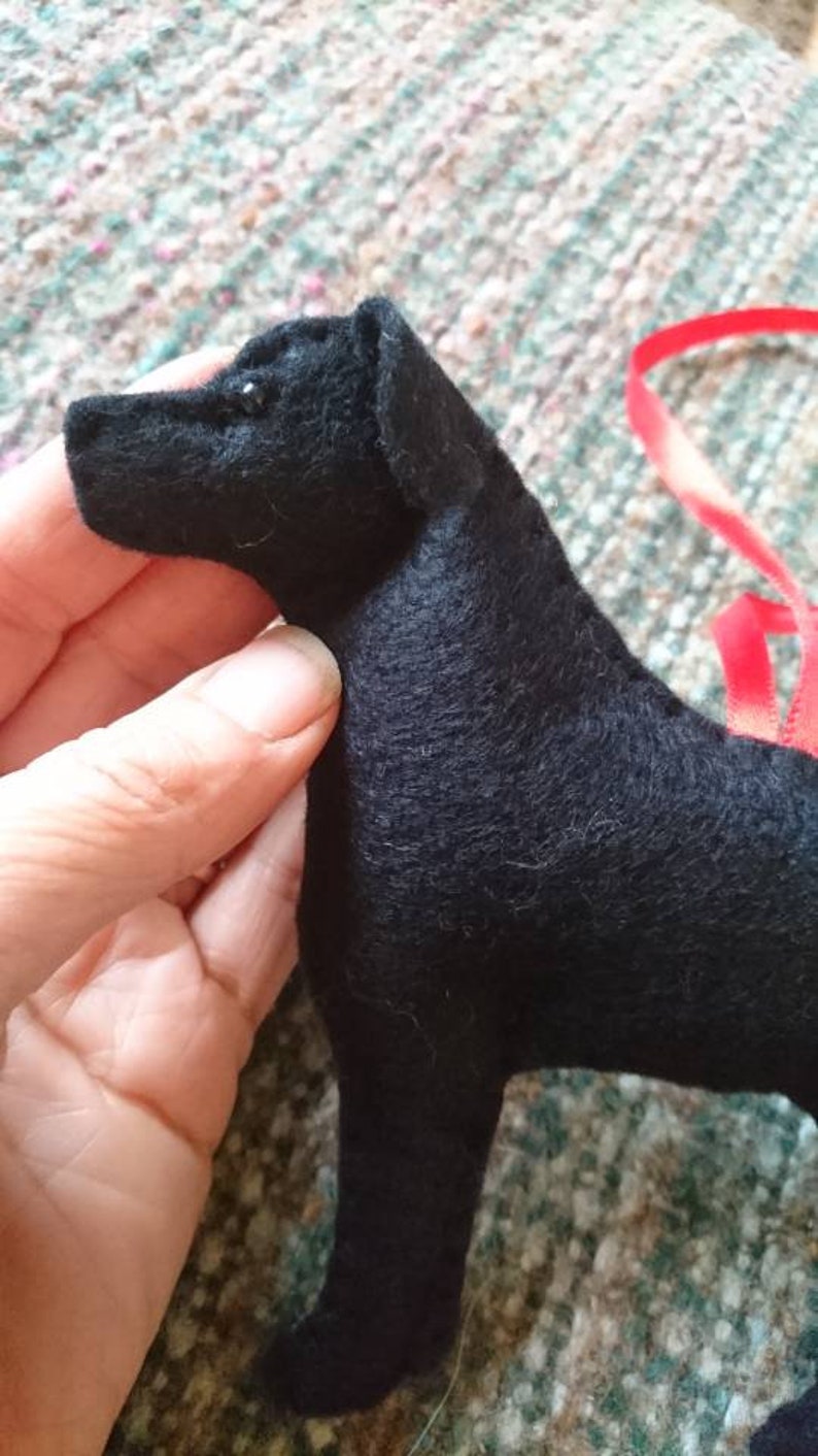 May include: Black felt dog toy with a red ribbon attached. The dog is standing on a patterned surface.