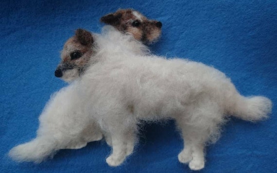 rough coated terrier