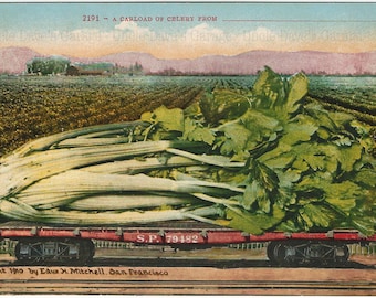 A Carload Of Celery From _____ ~  Vintage Exaggeration Postcard Artwork ca. 1909/1910; Digital Download