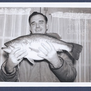 Happy Guy With Big Fish ~ 1960s Vintage Polaroid Photo; Digital Download