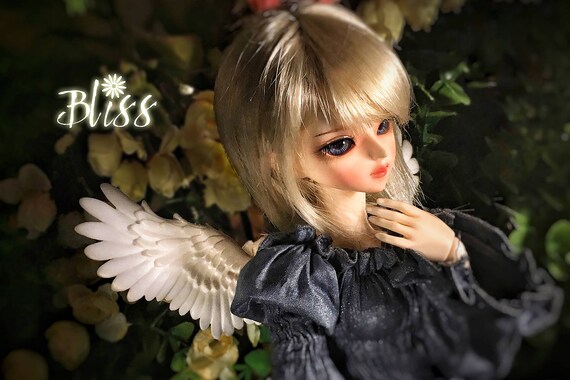 bjd yosd