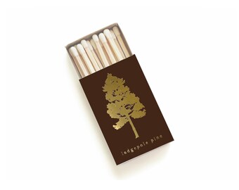 Caja de cerillas con forma de pino lodgepole. Regalo con temática de árboles de hoja perenne. Cerillas para aventuras. Caja de cerillas con forma de abeto. Detalle para fiestas temáticas de bosque y camping. Decoración para viajeros.
