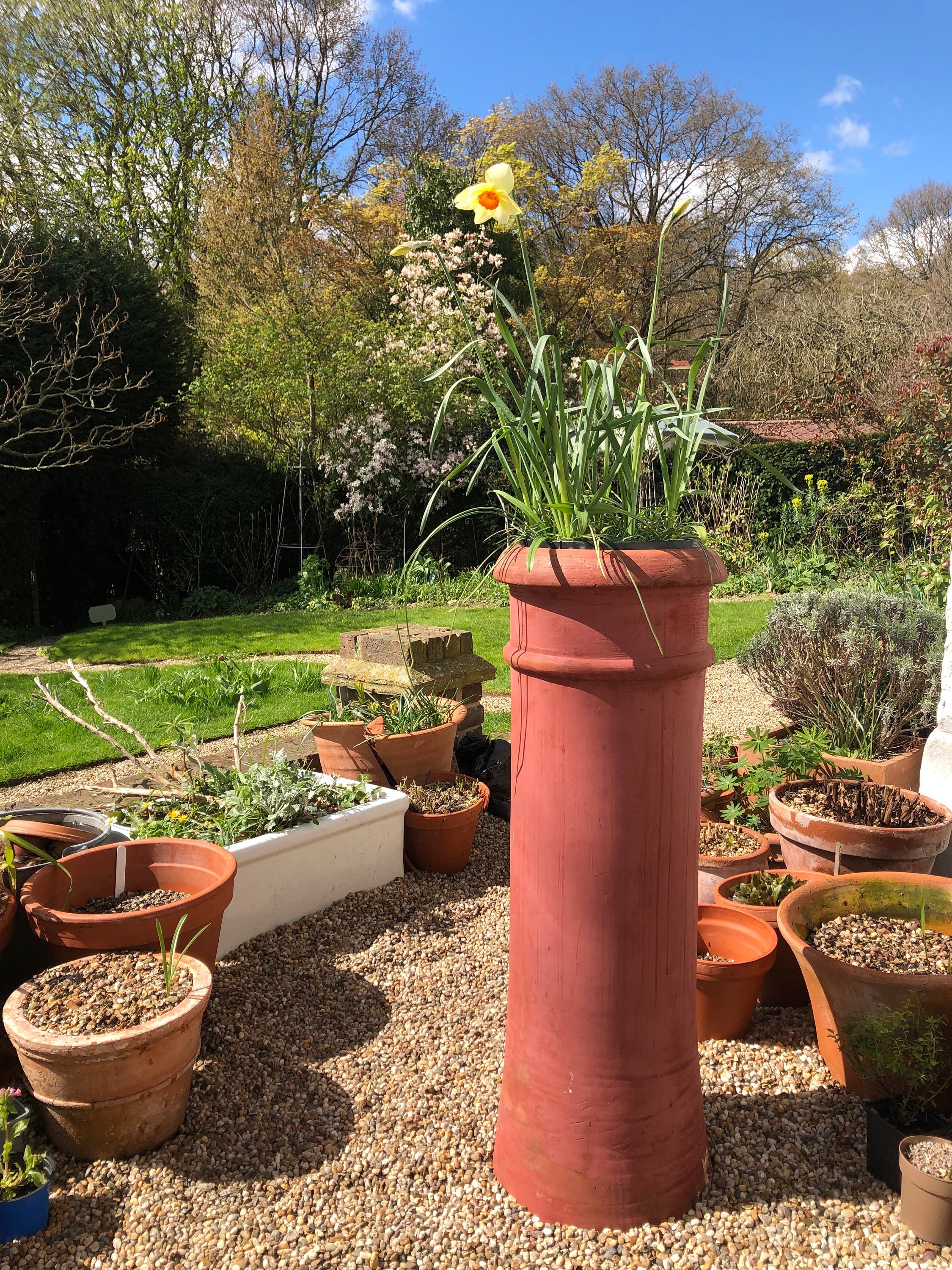 Chimney pot planter deals