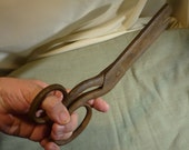 Rare Antique Large Cast Iron Scissors Shears Circa 19th Century 12 quot Long Heavy 760 grams,Tailors Dressmakers Leatherworker