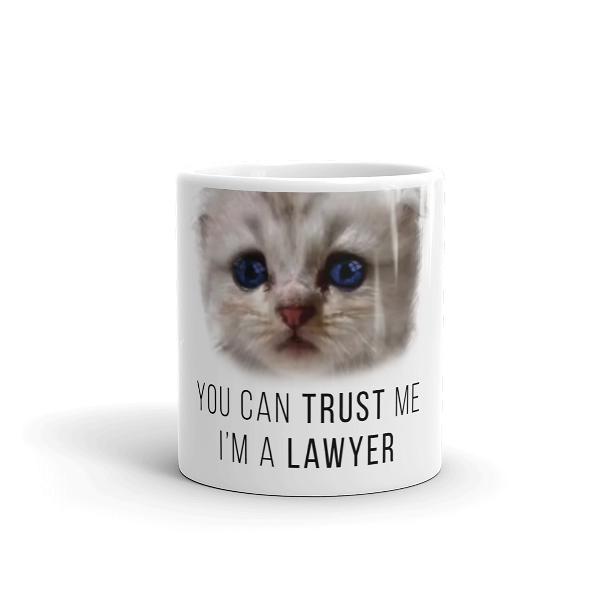 Zoom Cat Lawyer Mug Funny Lawyer Gift Etsy