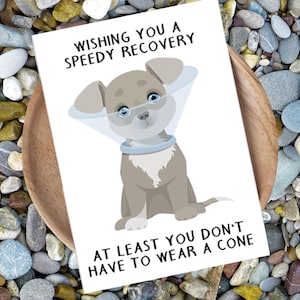 Cartão Pawsitively Funny Dog Get Well - para impressão e digital, cartão Get Well Soon, cartão engraçado Get Well, três tamanhos 4,25x5,5, 4x6 e 5x7