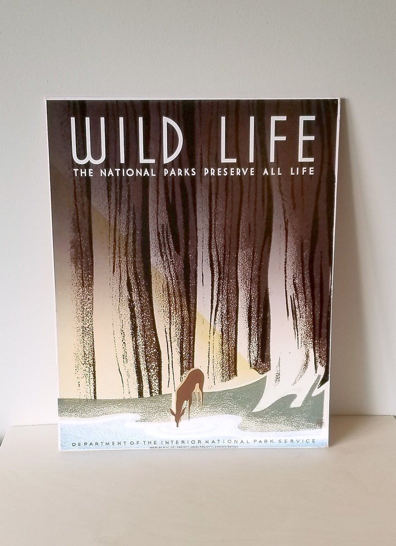 Wildlife Older Kid Easy Adult Jigsaw Puzzle WPA Poster