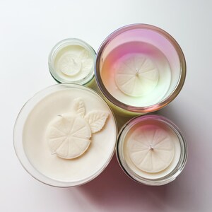 Lime Light Hand Poured Coconut Soy Candle Mint Mojito
