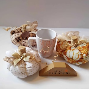 Fabric Pumpkins, Handmade Rustic Fall Decor, Perfect for Halloween/Farmhouse Decor, Gift Basket/Tier Tray Decor