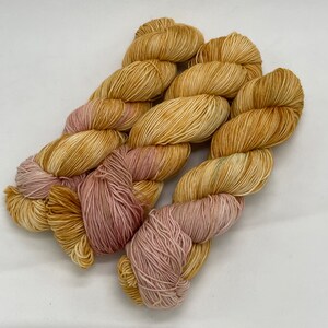 Little Orange Cat - Classic Lit Sock - Hand Dyed Sock Yarn