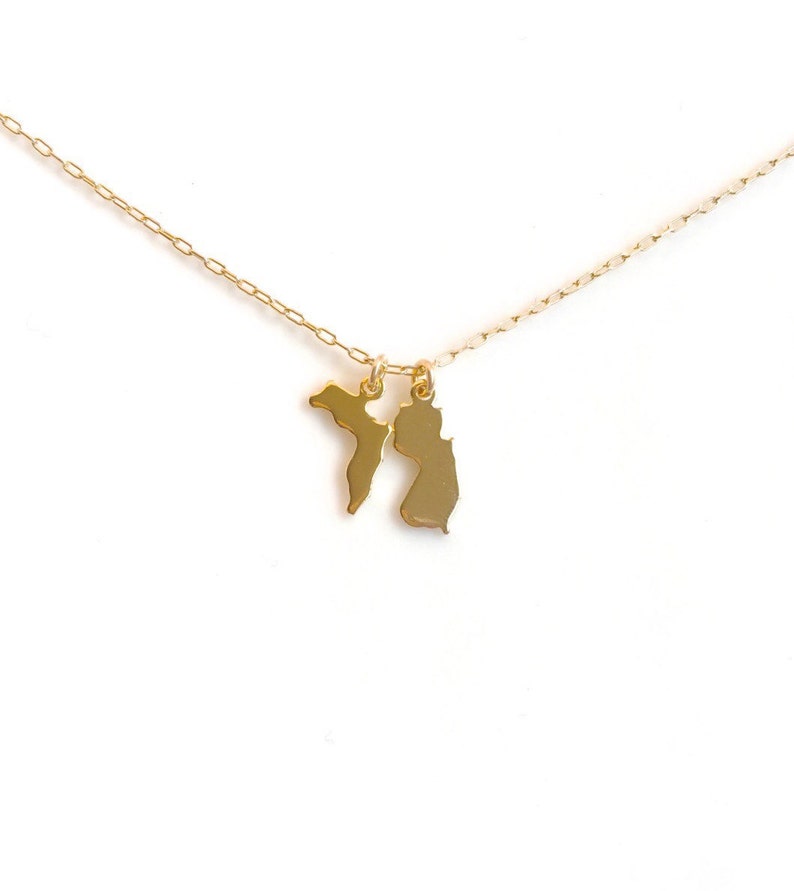 Small Gold State Necklace, Two State Gold with Heart Stamp, Silver State Necklace, Arizona Necklace, California, Texas, Ohio, Utah, Oregon image 1