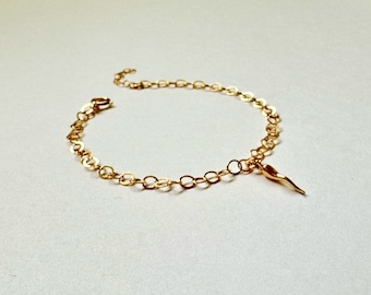 Lucky Italian Horn Bracelet, luck, protection, cornicello, hornlet charm, Gold Filled Italian Horn, Sterling Silver Italian Horn Bracelet