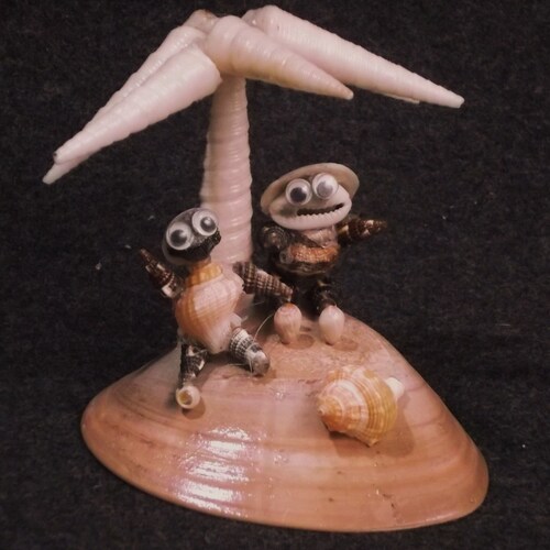 Baja Shell BAJASHELLS - Etsy