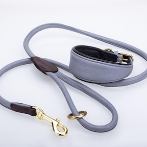 Pu&ograve; includere: Un set di collare e guinzaglio per cani grigio chiaro. Il collare e il guinzaglio sono realizzati in un materiale morbido simile alla pelle. Il guinzaglio ha un moschettone color oro e un inserto in pelle marrone. Il collare ha una fibbia color oro.