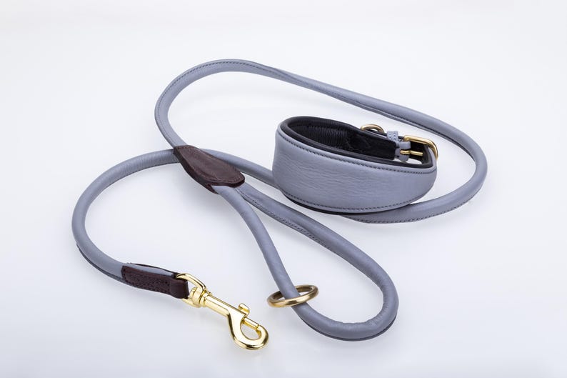 Pu&ograve; includere: Un set di collare e guinzaglio per cani grigio chiaro. Il collare e il guinzaglio sono realizzati in un materiale morbido simile alla pelle. Il guinzaglio ha un moschettone color oro e un inserto in pelle marrone. Il collare ha una fibbia color oro.
