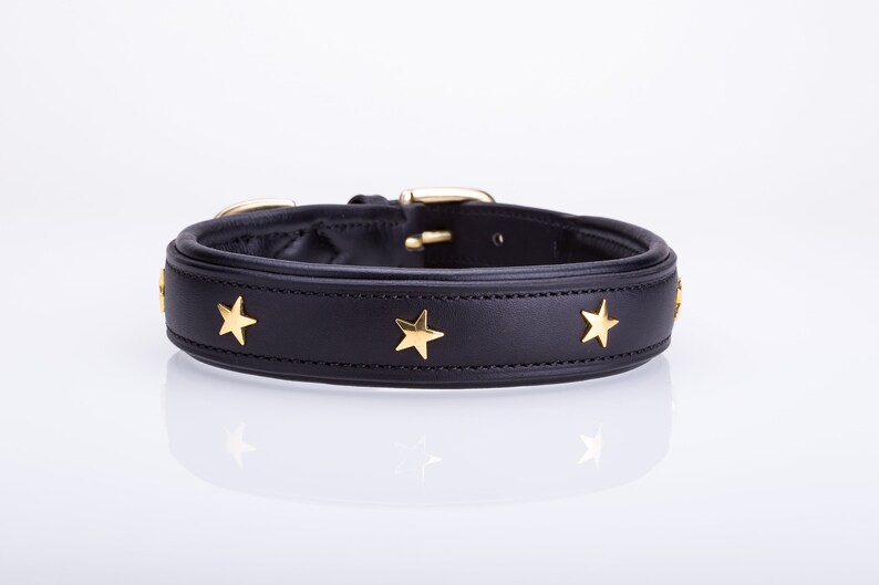 Pear Tannery Padded Leather Dog Collar With Star Etsy