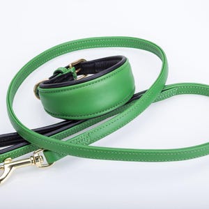 Pu&ograve; includere: Un set di collare e guinzaglio per cani in pelle verde. Il collare &egrave; imbottito in pelle nera e presenta una fibbia color oro. Il guinzaglio ha un moschettone color oro. Il set &egrave; realizzato in pelle verde con cuciture bianche.