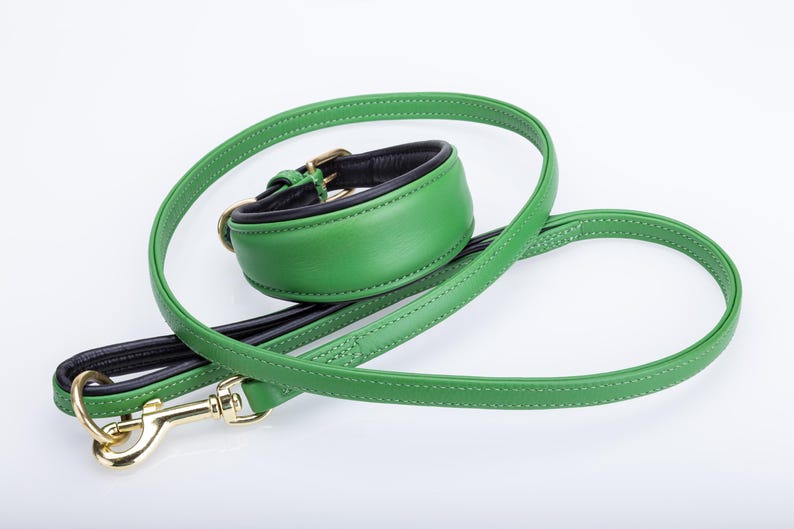 Pu&ograve; includere: Un set di collare e guinzaglio per cani in pelle verde. Il collare &egrave; imbottito in pelle nera e presenta una fibbia color oro. Il guinzaglio ha un moschettone color oro. Il set &egrave; realizzato in pelle verde con cuciture bianche.