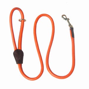 May include: Orange leather dog leash with a brown leather handle and a gold metal clip.