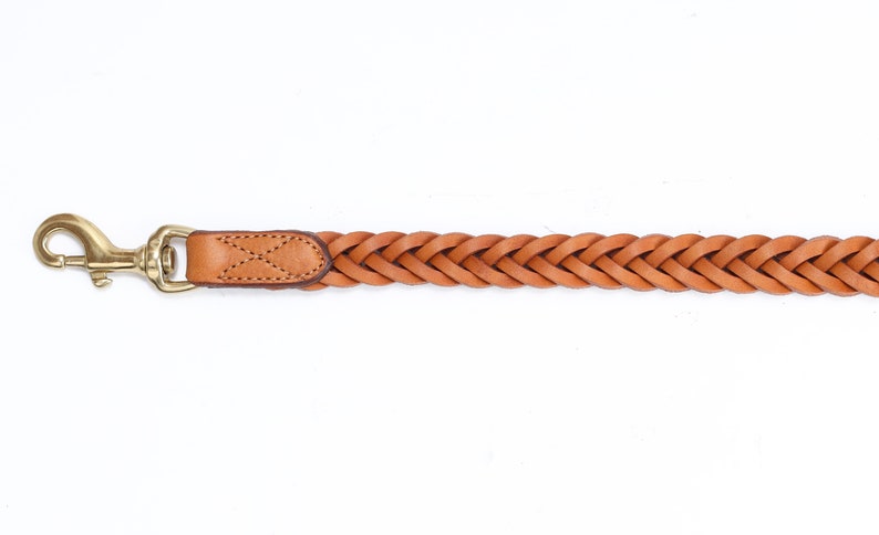 Pear Tannery Plaited Leather Dog Lead 3/4 image 7