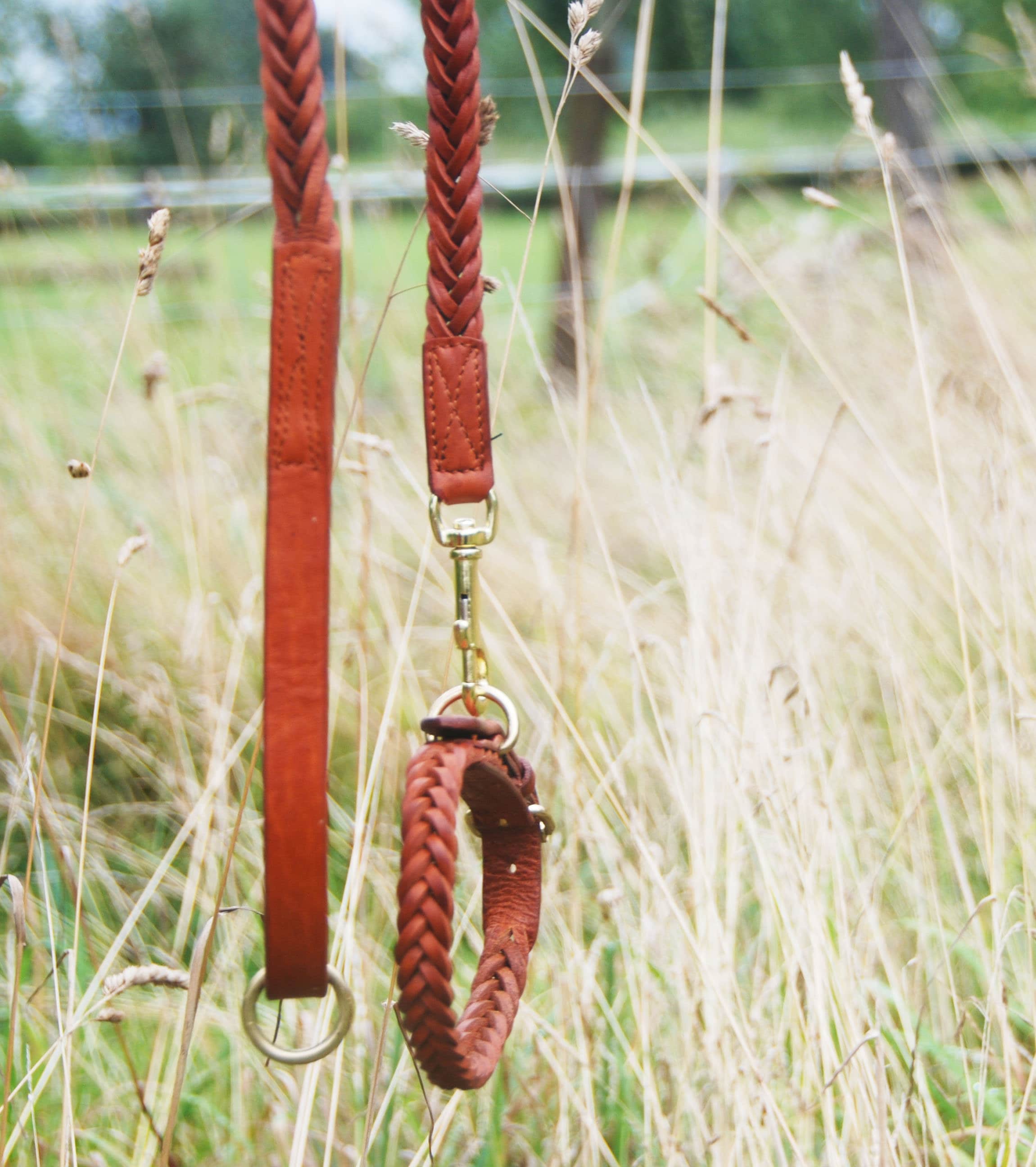 Pear Tannery Plaited Leather Dog Collar Etsy