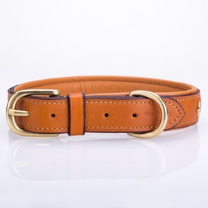 Pear Tannery Padded Leather Dog Collar With Star image 4