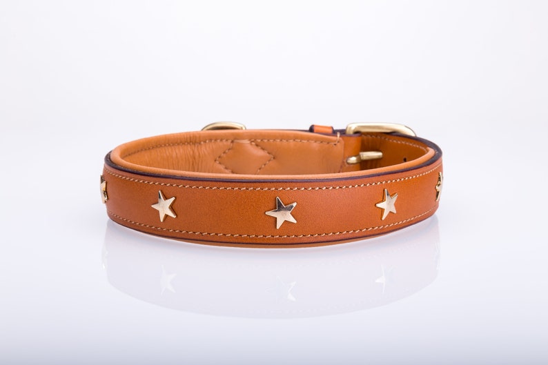 Pear Tannery Padded Leather Dog Collar With Star Etsy