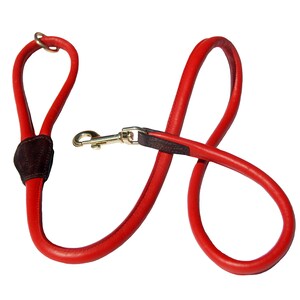 May include: A red leather dog leash with a brown leather patch and a gold metal clasp.
