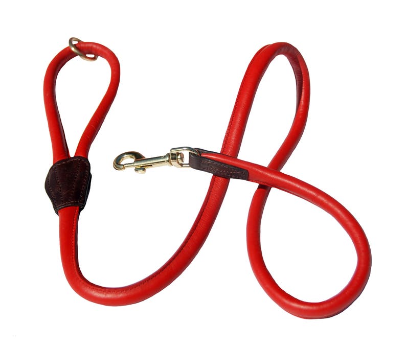 May include: A red leather dog leash with a brown leather patch and a gold metal clasp.