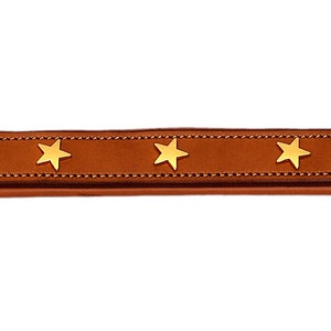 Pear Tannery Padded Leather Dog Collar With Star image 9