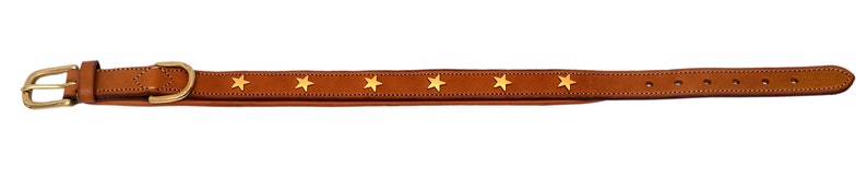 Pear Tannery Padded Leather Dog Collar With Star image 9