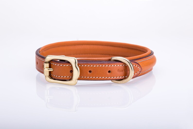 Pear Tannery Fancy Stitched Padded Leather Dog Collar Etsy UK