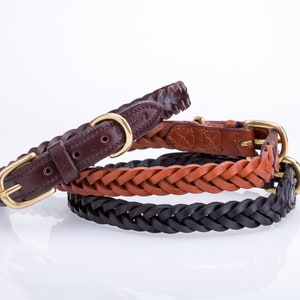 Pear Tannery Plaited Leather Dog Collar