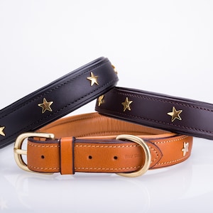 Pear Tannery Padded Leather Dog Collar With Star