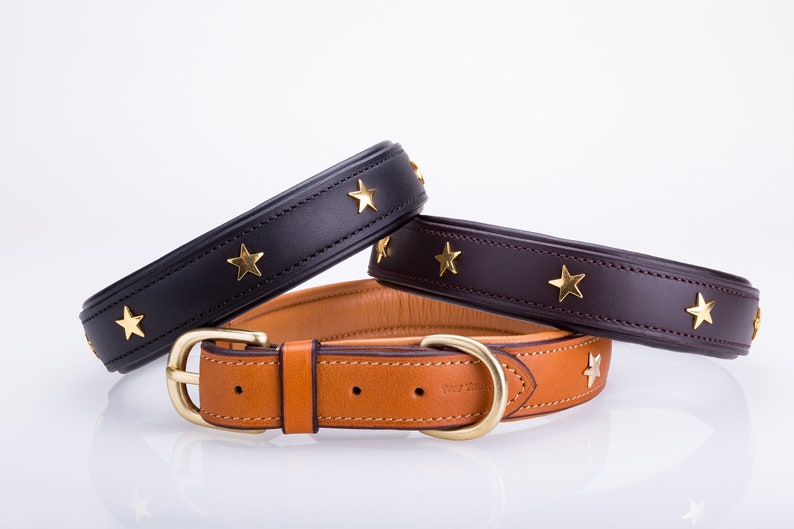 Pear Tannery Padded Leather Dog Collar With Star image 1