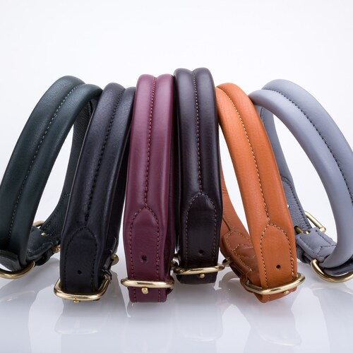 Pear Tannery Fancy Stitched Padded Leather Dog Collar Etsy UK