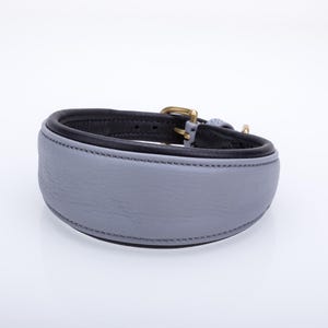 Pu&ograve; includere: Un collare per cani in pelle grigia con interno nero e finiture color ottone. Il collare &egrave; imbottito e cucito, progettato per il comfort e la durata. Un accessorio elegante per animali domestici.
