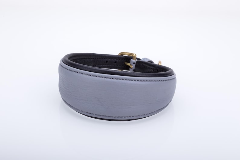 Pu&ograve; includere: Un collare per cani in pelle grigia con interno nero e finiture color ottone. Il collare &egrave; imbottito e cucito, progettato per il comfort e la durata. Un accessorio elegante per animali domestici.