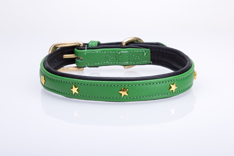Pear Tannery Soft Padded Flat Leather Dog Collar Star Etsy UK