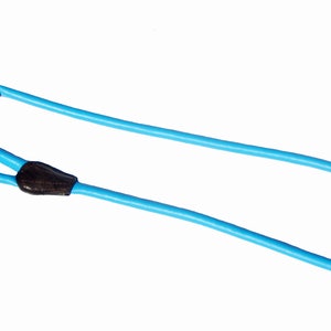 May include: A blue dog leash with a brown leather handle and a metal clip.