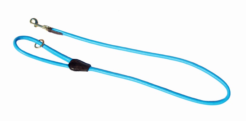 May include: A blue dog leash with a brown leather handle and a metal clip.