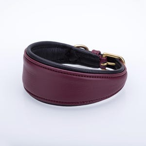 Pu&ograve; includere: Un collare per cani in pelle bordeaux con interno nero e finiture in metallo color oro. Il collare &egrave; imbottito e ha un design classico, adatto a varie razze di cani. Il collare &egrave; largo circa 5 cm.
