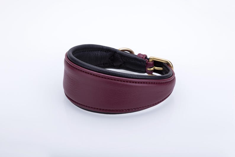 Pu&ograve; includere: Un collare per cani in pelle bordeaux con interno nero e finiture in metallo color oro. Il collare &egrave; imbottito e ha un design classico, adatto a varie razze di cani. Il collare &egrave; largo circa 5 cm.