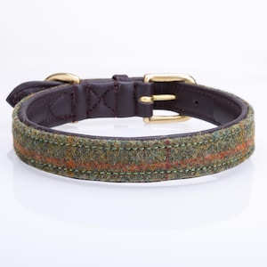 May include: A green, brown and orange tweed dog collar with a brown leather backing and a gold metal buckle.